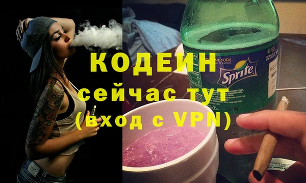 прущий лед Алзамай