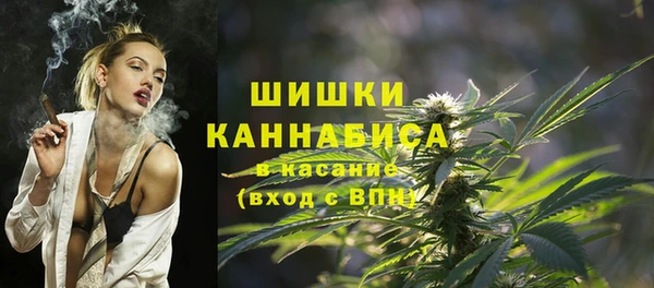 PSILOCYBIN Россошь