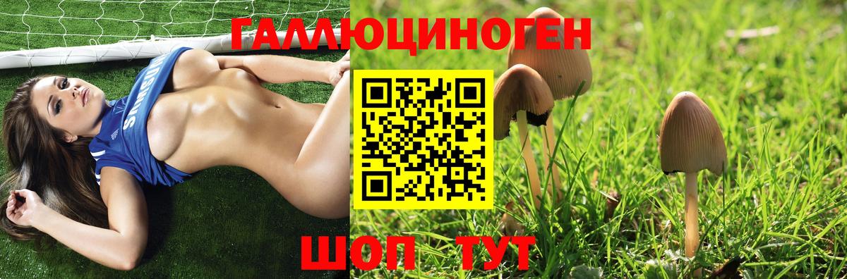 Галлюциногенные грибы прущие грибы Кольчугино