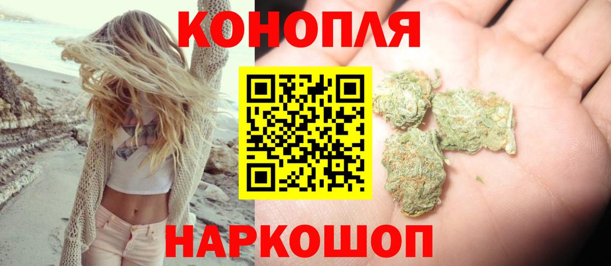 Канабис OG Kush Кольчугино